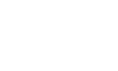 Business Post Icon