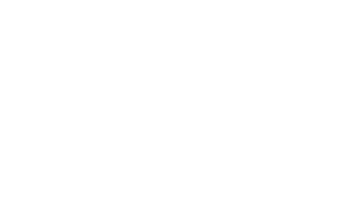 Irish examiner Logo
